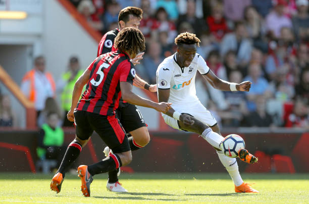 增強補強騰 增強補強騰